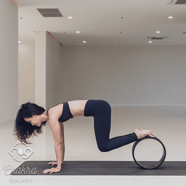 Yoga Wheel Assisted (Phalakasana)