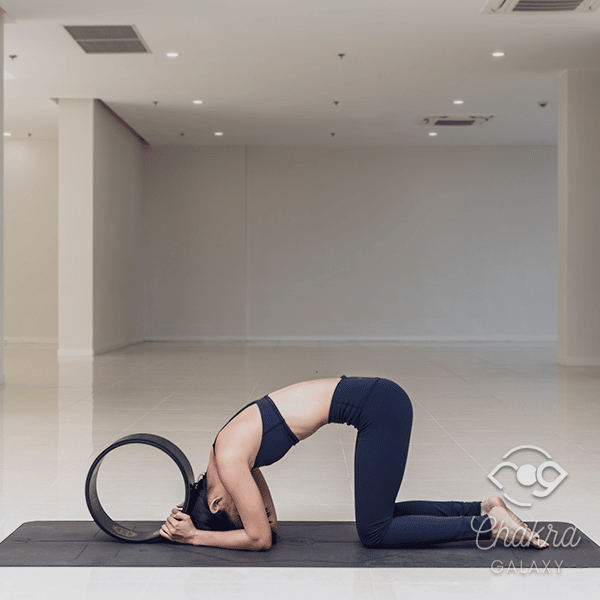 Yoga Wheel Assisted Cat-Cow Pose (Marjaryasana)