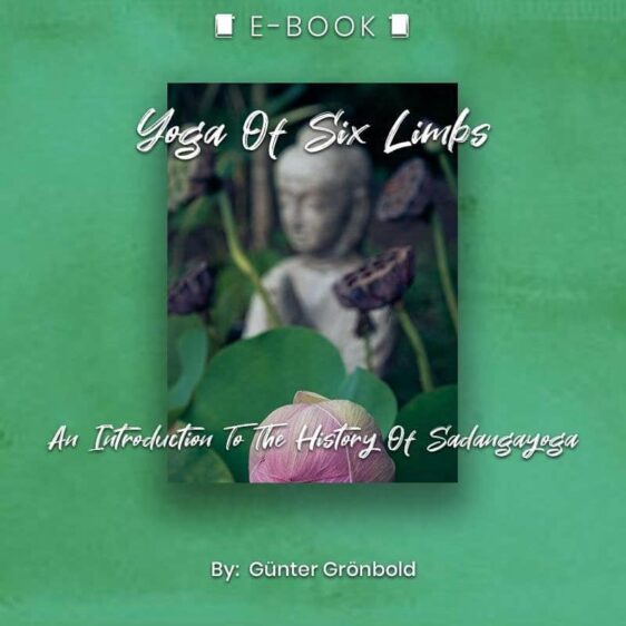 Yoga Of Six Limbs: An Introduction To The History Of Sadangayoga eBook - eBook - Chakra Galaxy