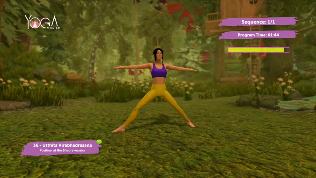 Video Games for the Yogi in You