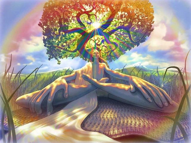 Tree of Life have healing properties