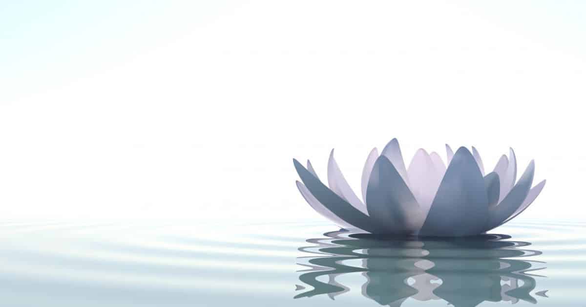 Is the lotus flower a symbol of luck