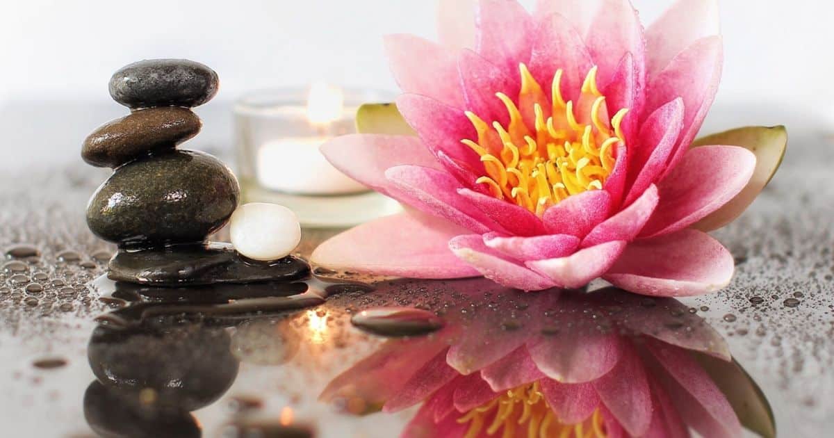 Is the lotus flower good for Feng Shui